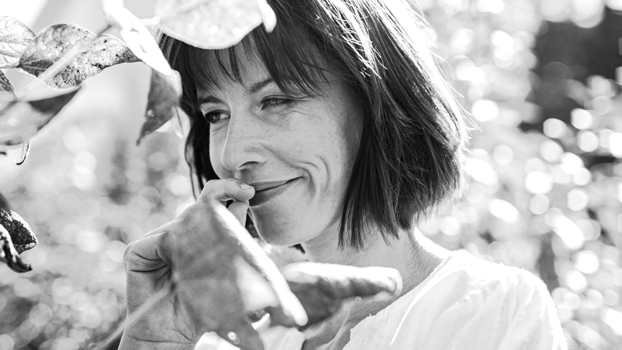 Curcumin mit Vitamin E, D3 und aktiviertem CBD