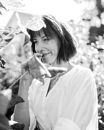 Ohne Falvonoide und Terpene - nur CBD