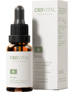 CBD Ursprung BRAIN