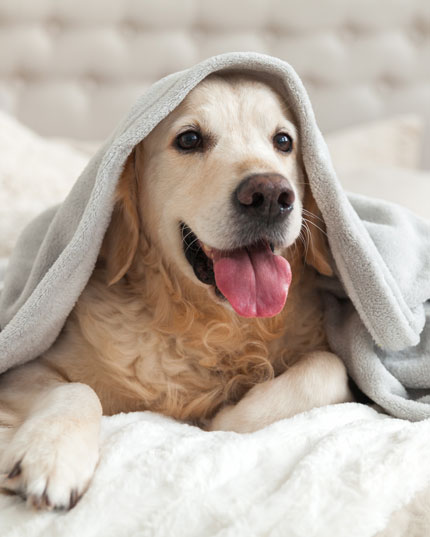 Ohne Chemie und k&uuml;nstliche Zus&auml;tze 