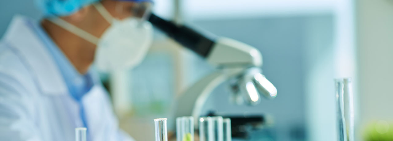 News aus der Wissenschaft: Cannabinoid in einer v&ouml;llig anderen Pflanze gefunden