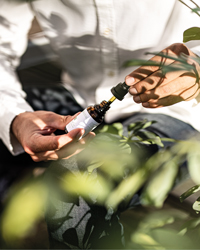 Hanftropfen aus der Natur Hanftropfen aus der Natur