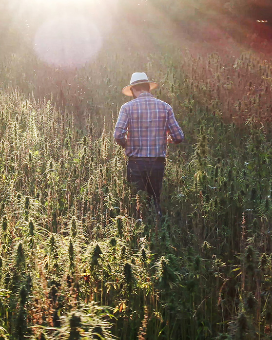 H&ouml;chste Produktqualit&auml;t