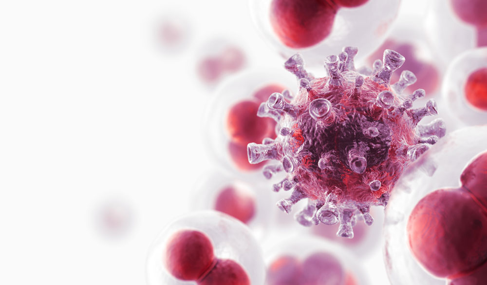 Das Immunsystem erkennt Angreifer und bekämpft diese Das Immunsystem erkennt Angreifer und bekämpft diese