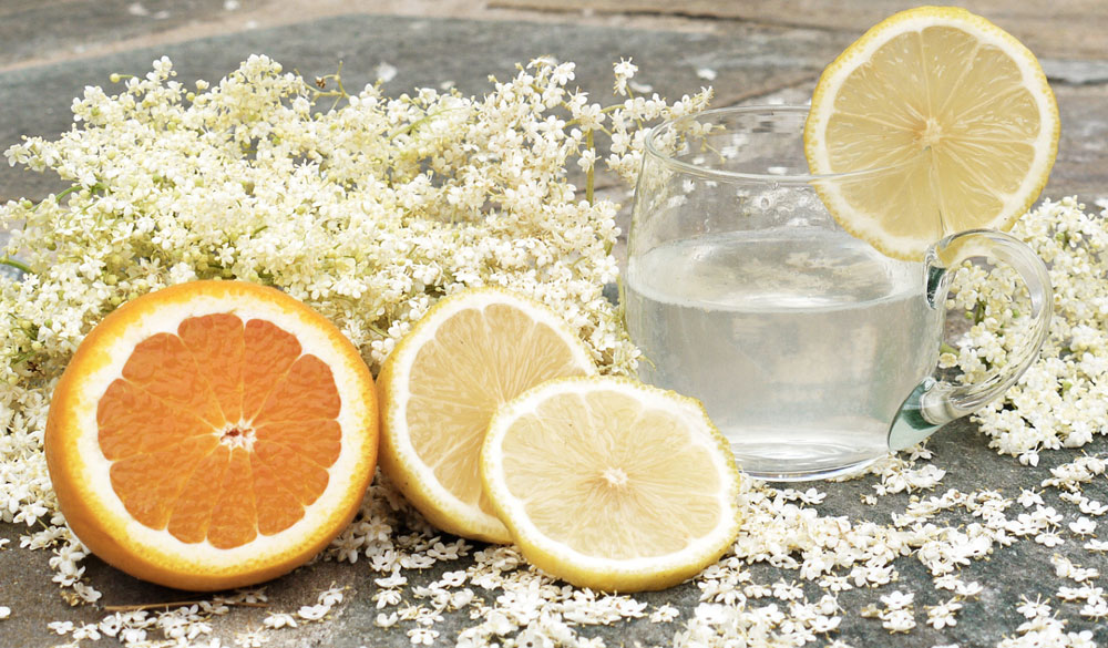 Holunderbl&uuml;tensirup ohne Zucker