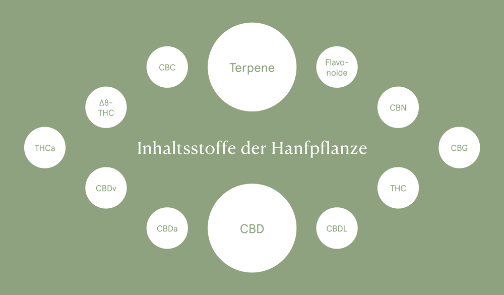 Inhaltsstoffe der Hanfpflanze
